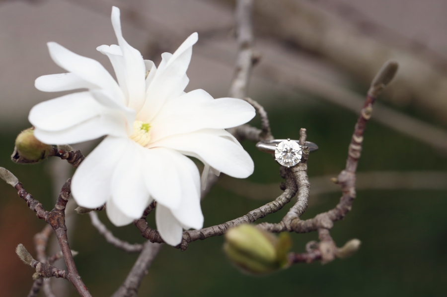 SayBre Photography_engaged_engagement rings_05