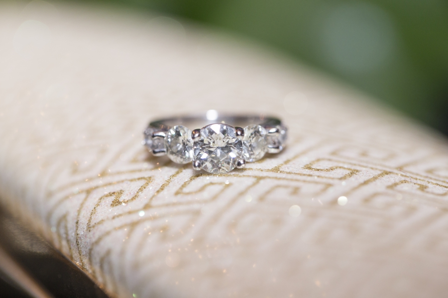 SayBre Photography_engaged_engagement rings_20